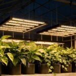 370W LED Grow Light | 2.6μmol/J Full Spectrum | App Control & Dimmable 3-Bar Lamp for 4x2ft Indoor Plants Full Cycle Growth - Image 4